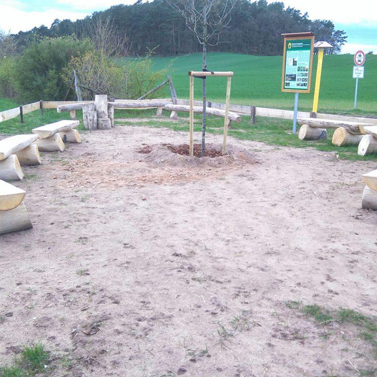 Bänke aus Eichenholz im Park auf Wiese